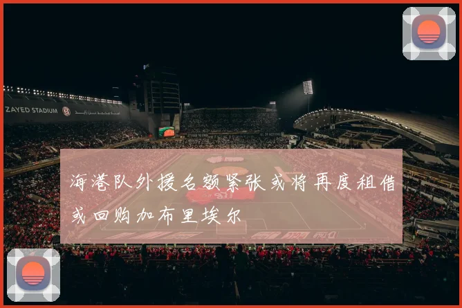 海港队外援名额紧张或将再度租借或回购加布里埃尔